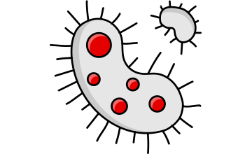 CCLS Septic Tank Bacteria Additive